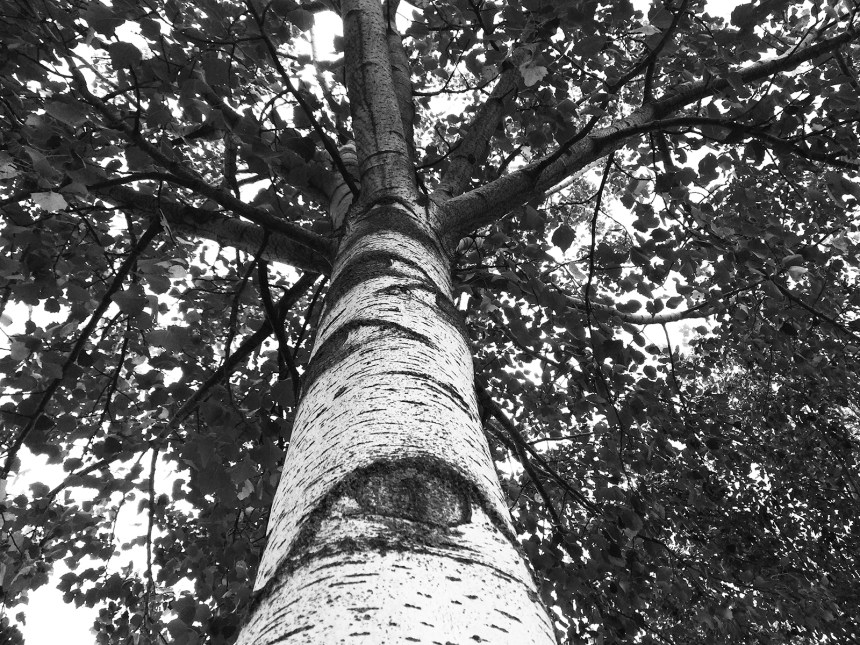 1_milano_parconord_2016-09-18