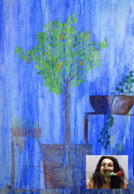 Graziella Boffini Widget