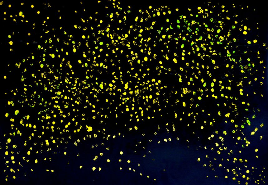 Eppur si muove, pesadilla