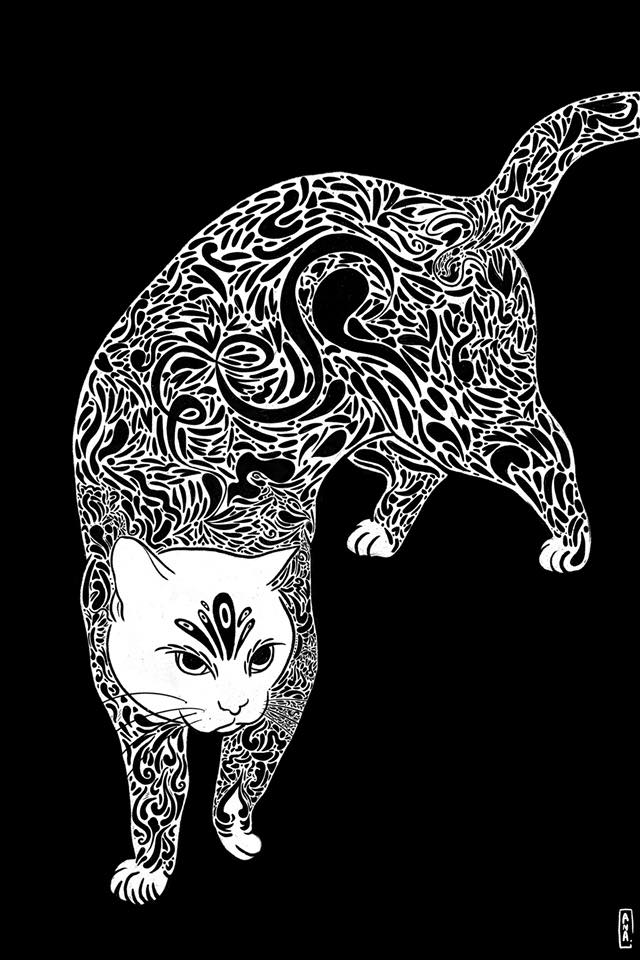 51679297_1478907898913454_4184918624579878912_n